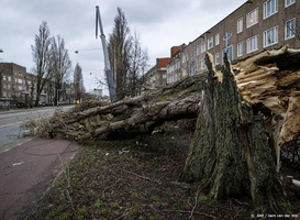 Huizen in Moordrecht onbewoonbaar door storm Eunice