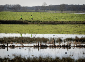 Noordelijkste punt van Limburg krijgt nieuwe en versterkte dijken