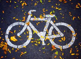 Kabinet investeert in goede fietsenstallingen bij stations en nieuwe woonwijken 