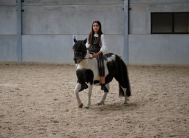 Normal_generation-z-girl-horse-riding-in-a-horse-riding-s-2022-11-10-17-54-27-utc__1_