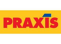 Logo_praxis_logo