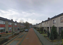 Normal_gruttolaan_beilen