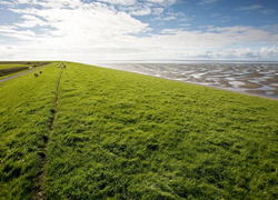 Normal_ameland_dijk