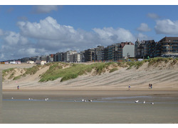 Logo_nederlandse_kust_bebouwd