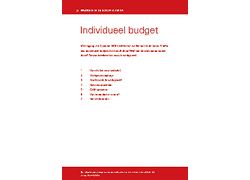 Logo_individueel_budget