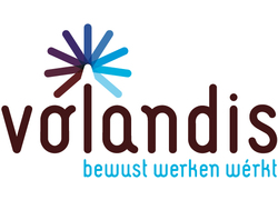 Logo_volandis_logo