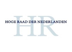 Logo_hoge-raad-logo-300-300x159