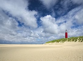 Normal_texel-2184346__340