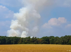 Brand bij plantenkwekerij 